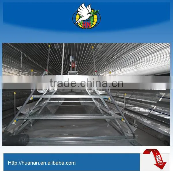 Poultry Equipment for Layer With Full Automatic
