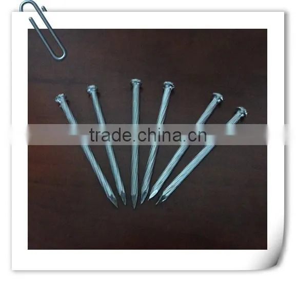 China Suppliers Cheap Price Concrete Nails /concrete Steel Nail for Construction photo-3