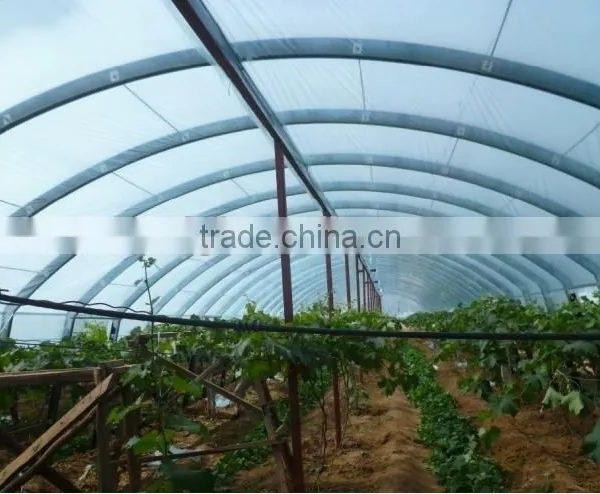 UV Protect Anti Fog Transparent Coextruded PE Cover Film PE Mulch Film for Grape Greenhouse photo-2