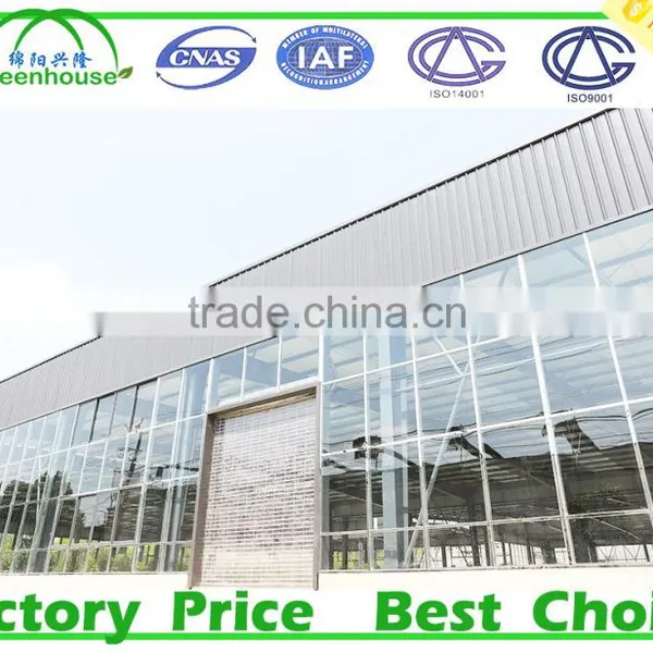 Used Commercial Glass Greenhouse for Sale photo-3