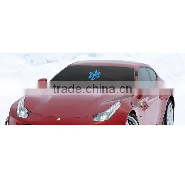 Retractable Car Front Visors photo-5