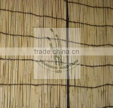 Reed Fence photo-6