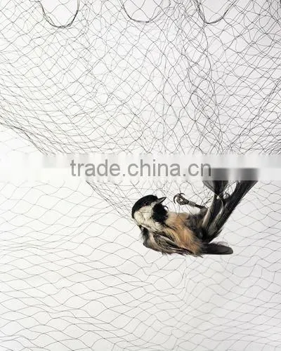 Bird Defence Net photo-2