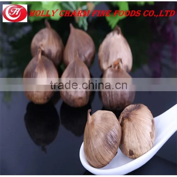 Manufacturer Supply Best Price Superior Quality Solo Black Garlic for Wholesale photo-2