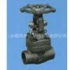 Forge Gate Valve
