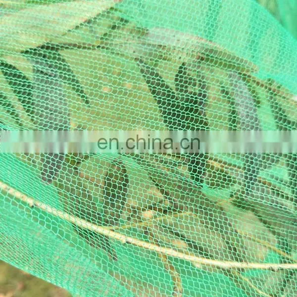 Hot Sale Monofilament Date Packaging Bag photo-4