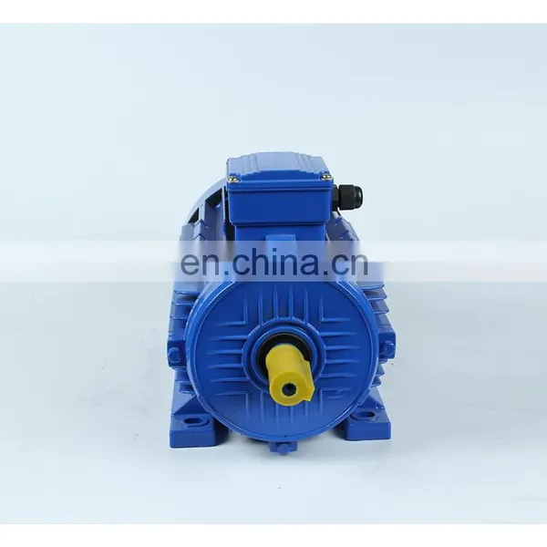 3 Three Phase Induction Motor ac Motor Ye2-160l-4 20hp 4 Pole 1450rpm Motor photo-4