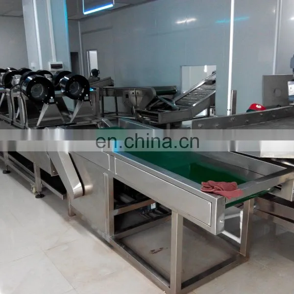 200kg SUS 304 French Fries Plant Potato Frozen French Fries Making Machine photo-6