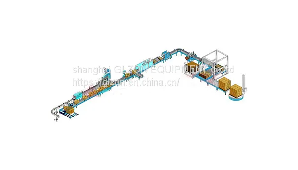 Bottle Packing Production Line