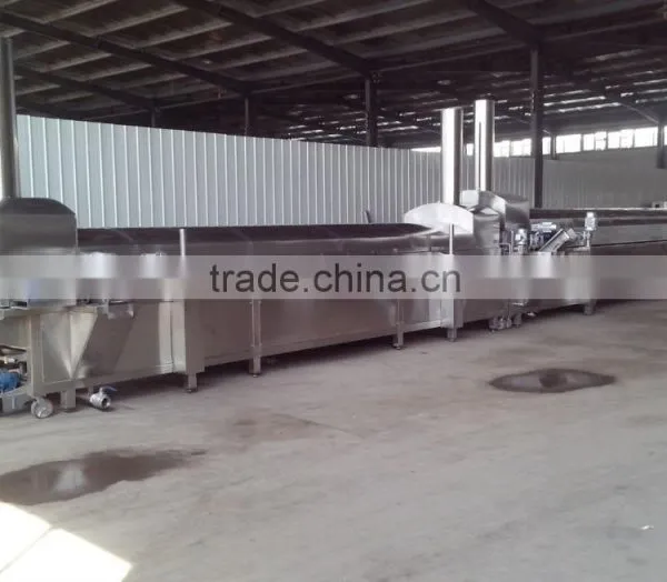 Fruits Chips and Nuts Continuous Frying Machine photo-3