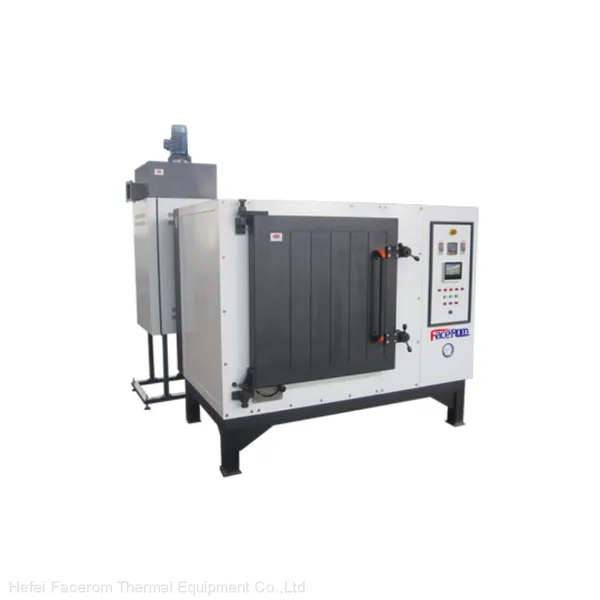 Facerom Forced Convection Debinding Furnace photo-2
