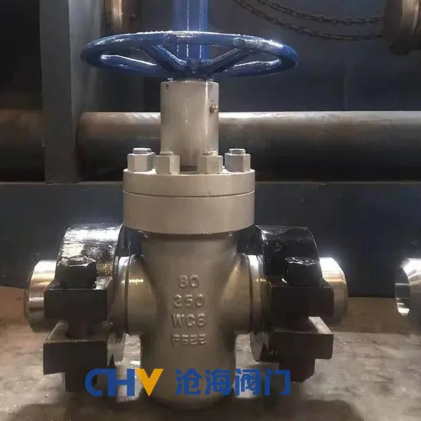 High pressure clamp gate valveZ83Y-250 DN25~500