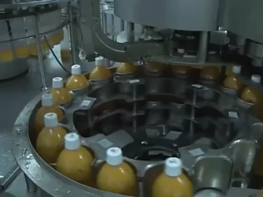 Pumpkin Fruit Processing Production Line Equipment Manufacturing, Pumpkin Pulp Processing Machinery, Pumpkin Juice Processing photo-6