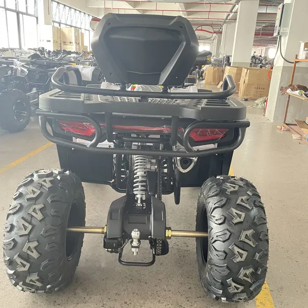200CC Quad Bikes ATV 4x2 Petrol ATV Motorbike Motorcycle photo-5