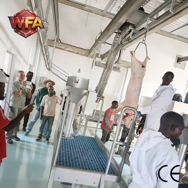 Customized Solution Pig Slaughterhouse Line Swine Abattoir Machine Hog Butcher Equipment Meat Processing Plant Machinery