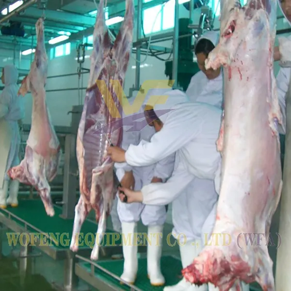 USDA Complete Goat Slaughtering Equipment Lamb Abattoir Line Machinery Sheep Butcher Machine Meat Processing Factory photo-5