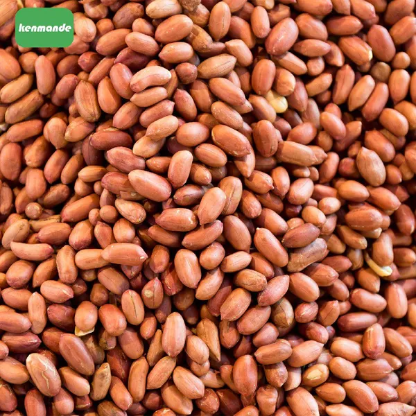 Wholesale Natural Red Skin Round Raw Peanut Kernels 35/40 for Snack Manufacturing