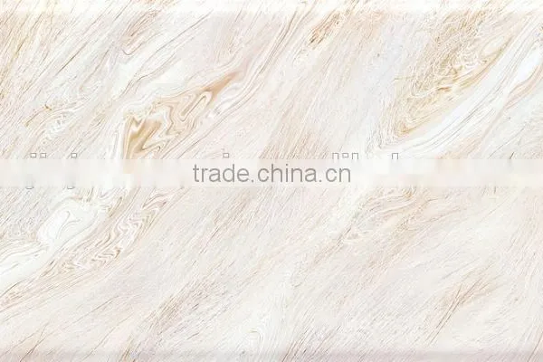 Ceramic Interior Wall Tile Dining Room Wall Ceramic Tile Glossy photo-5