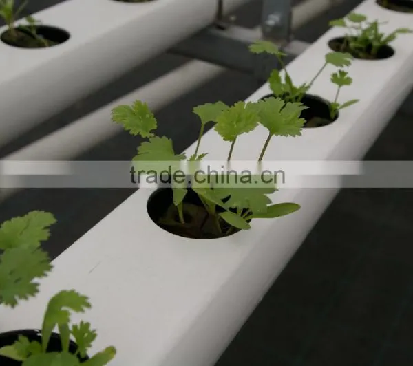 Europe Indoor Hydroponic Growing Kit for Backyard Greenhouses and Home Hydroponics photo-2
