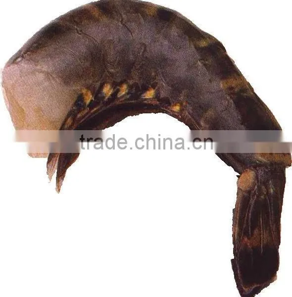 Black Shrimp Tiger
