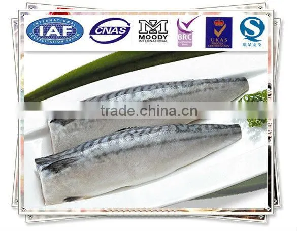 Norway Mackerel Fillet