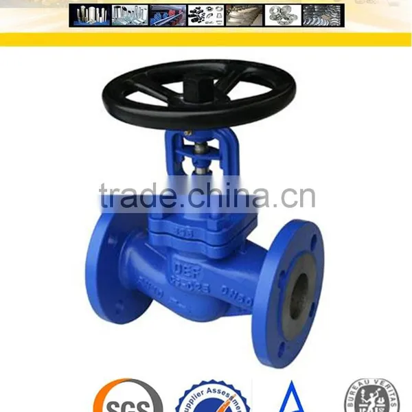 DIN Cast Iron Globe Valve PN16 photo-2