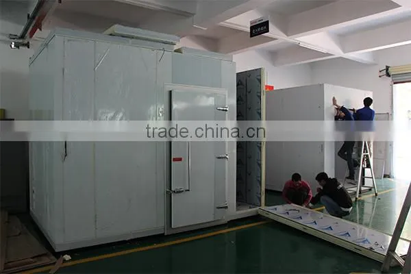 Water Cooled 100% Insulation Programmable Laboratory Walk in Environmental Test Chamber