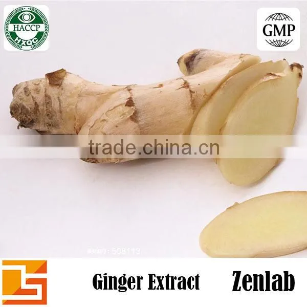 Ginger Rhizome Extract Powder
