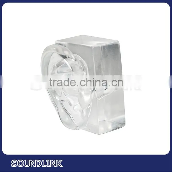 Hot-sale Clear Acrylic Human Ear Model photo-2