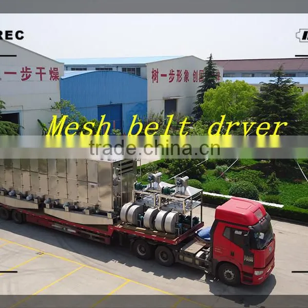 Beetle Nut Belt Dryer photo-3