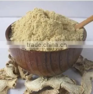 Dried Ginger Powder Hight Quality Ginger Root Extract Powder photo-2