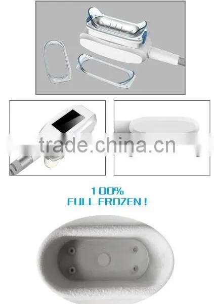 Spa Use Machine for Body Scupture Fat Removal Slimming Cryolipolise photo-4