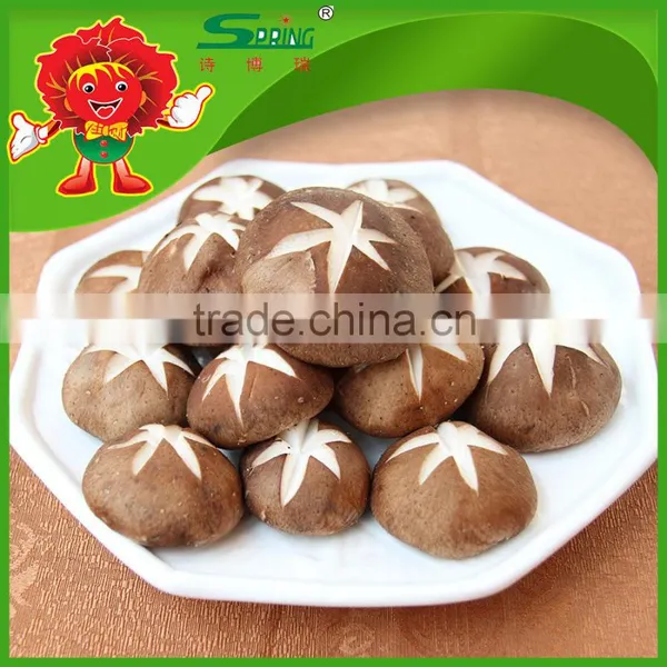 Best Fresh Matsutake Mushroom for Sale Frozen Mushrooms photo-2