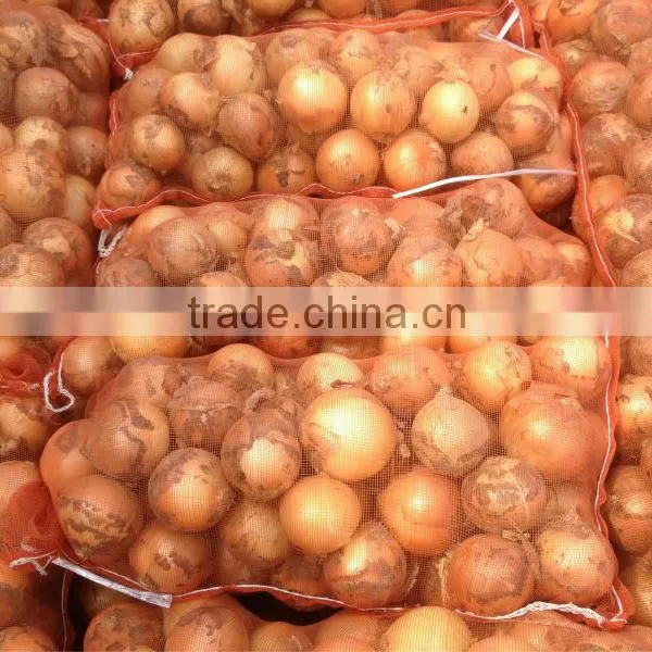 Fresh Onion Export to Dubai photo-6