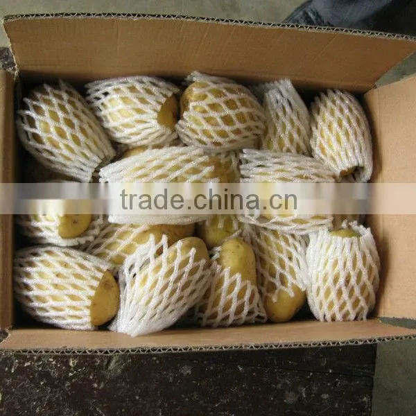 2013 Fresh Potatoes