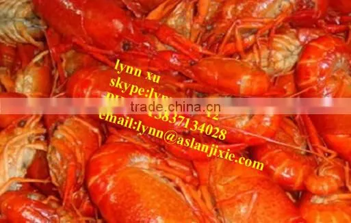 Cooked Lobster Processing Assembly Line/automatic Lobster Cooking Production Line photo-5