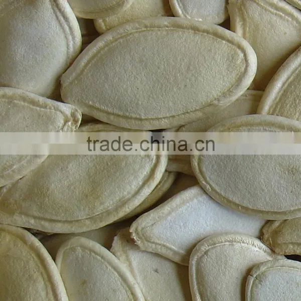 Wholesale Shine Skin Pumpkin Seeds With Top Quality photo-2