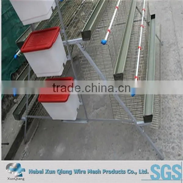 Automatic Broiler Chicken Cage photo-3