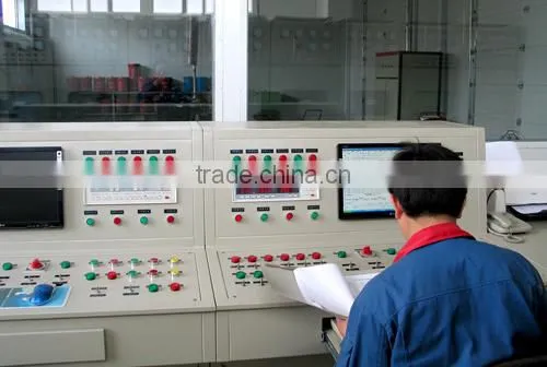 Hot Sale in South America!300kw Genset With Cummins Engine photo-5