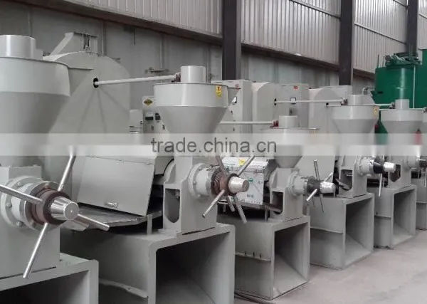 Maosheng High Quality Organic Sesame Oil Production Line photo-4