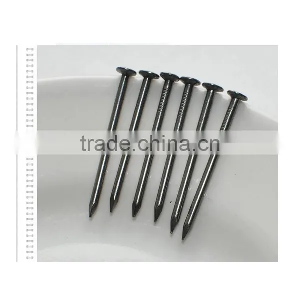 4" Common Nail Beauty Product Iron Nails From China Factory photo-4