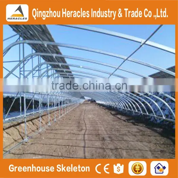 Heracles Trade Assurance Vegetable Seeds Greenhouse photo-4