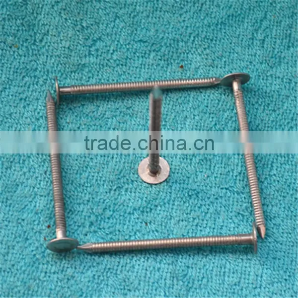 2017 Aluminum Ring Shank Nails Hot Sale photo-2