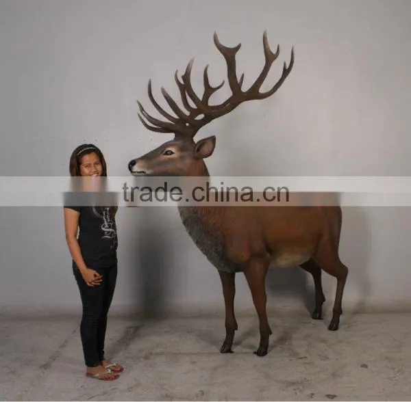 Red Deer Stag photo-2