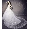 S619 Real Model Swaroski Crystal Beaded Applique Long Train Wedding Dress photo-2