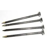 Common Round Iron Nail Made in China