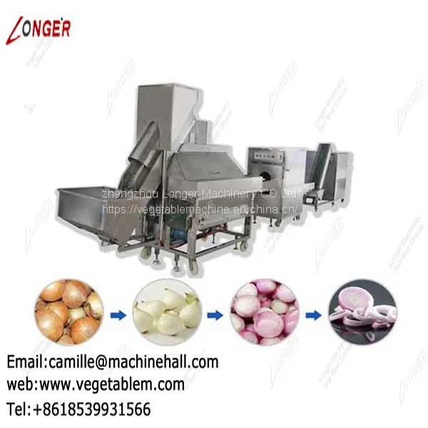 Onion Processing Machine Line|Onion Peeling and Root Cutting Plant|Onion Skin Remover Low Price photo-4