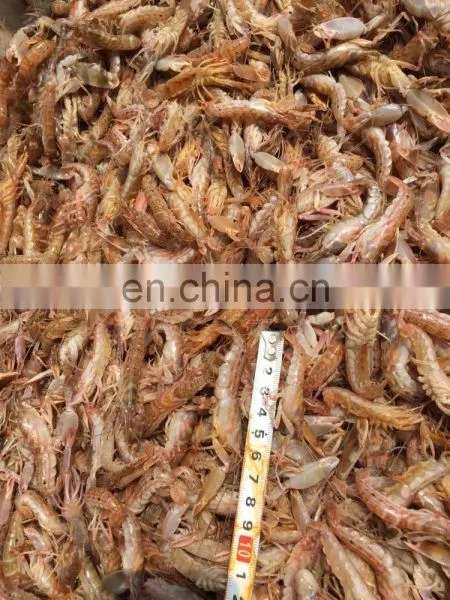 FROZEN MUD SHRIMP WHOLE ROUND photo-5