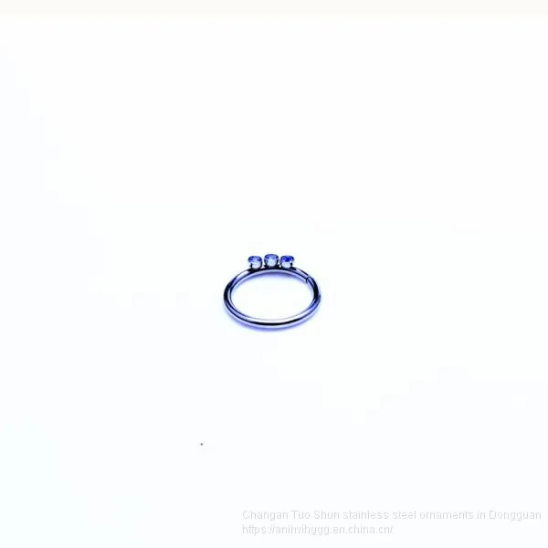 Direct Selling Titanium Steel Ear Clip, Nose Clip, Body Piercing Jewelry, Nose Ring Anti Allergy Foreign Trade Ornament photo-3