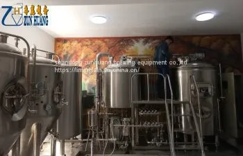 Certificated 5bbl 500l Electric Heating Micro Craft Brewery Equipment photo-2